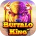 Buffalo King